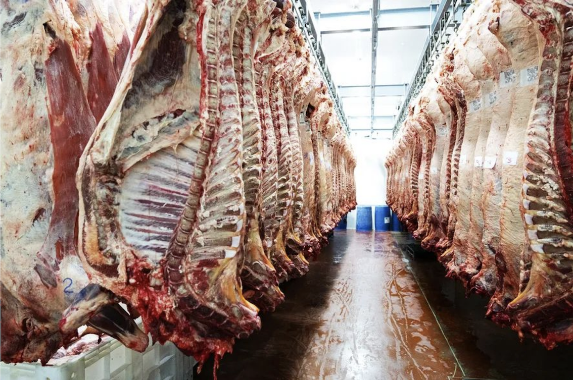 Brazilian beef factories have suspended production for the United States, and a large quantity of in-transit goods will be diverted to China